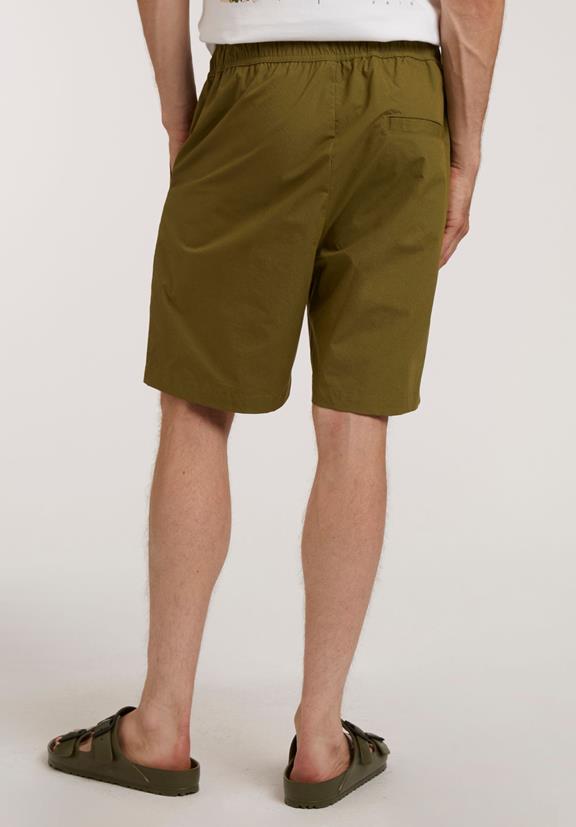 Woven Shorts Cypress Green 4