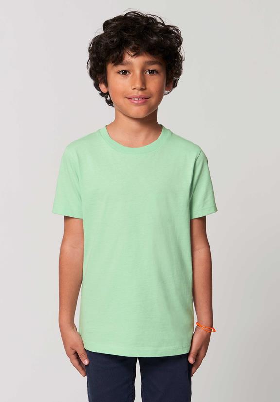 T-Shirt Geyser Green 1