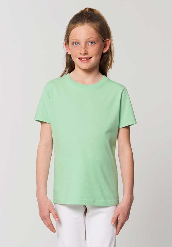 T-Shirt Geyser Green 7