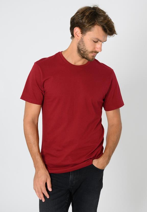 Tt02 T-Shirt Ruby  1