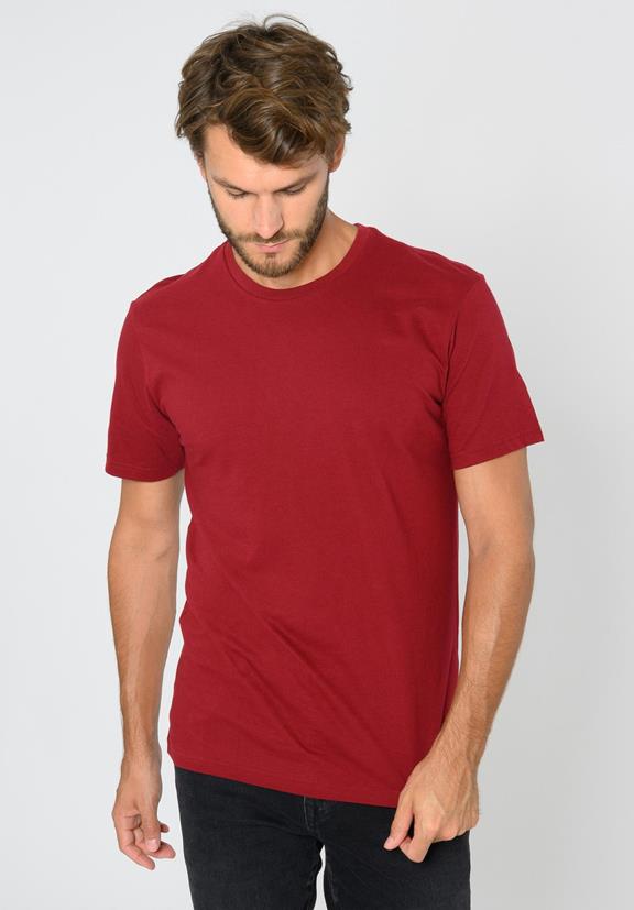 Tt02 T-Shirt Ruby  5