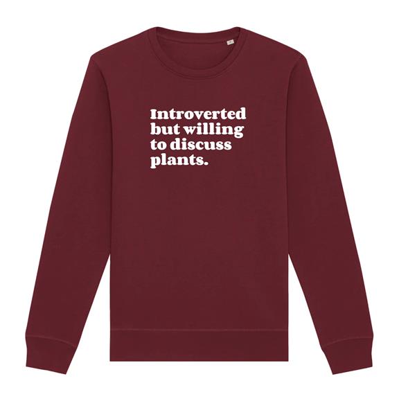 Sweatshirt Introvertiert Bordeaux 1