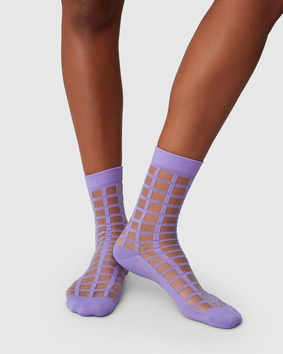 Socks Alicia Grid Lavender Purple 1