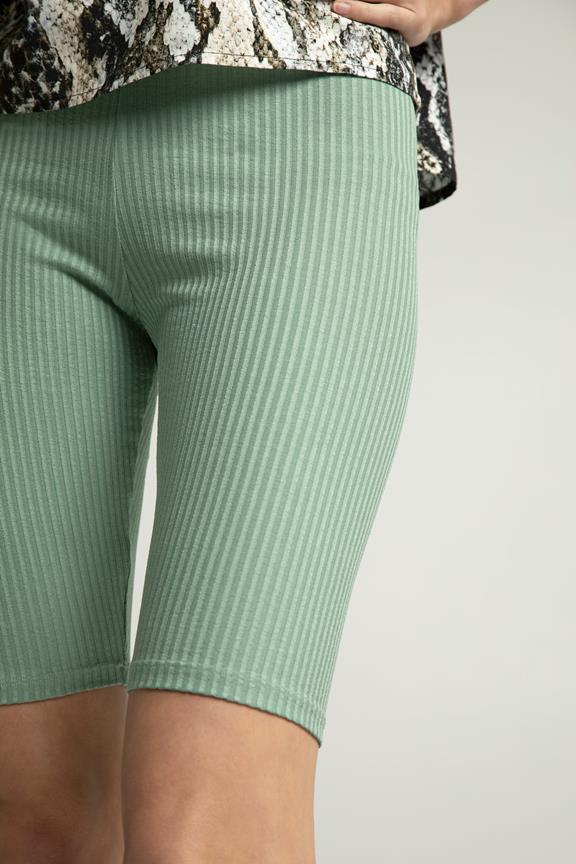 Shorts Cycling Aenis Green 6
