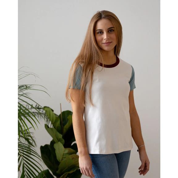 T-Shirt Basic Granaat Wit, Blauw & Rood 3
