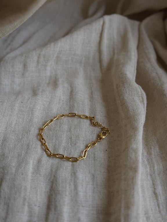Bracelet Anchor Chain Gold 6