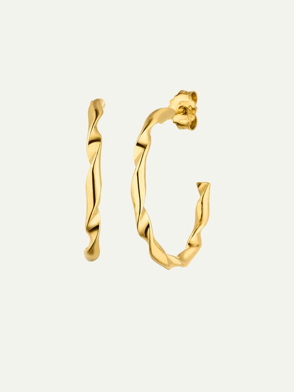 Earrings Elegant Hoop Gold 1