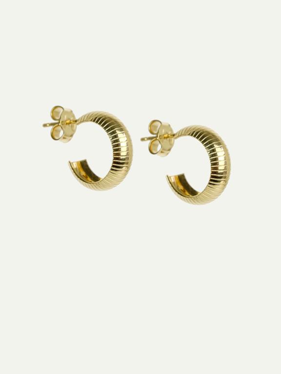 Earrings Bold Hoops Gold 3
