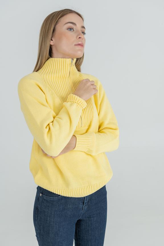 Troyer Stand Up Collar Yellow 5