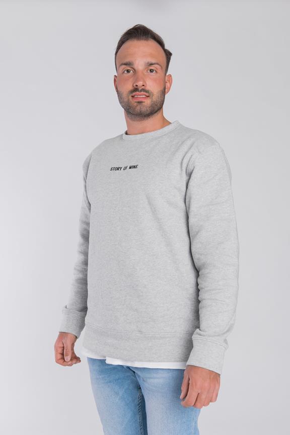 Sweatshirt Logo Light Grey 1