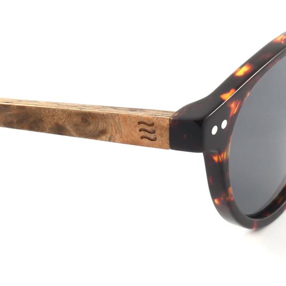 Sunglasses X Surfiety Tortoise 5