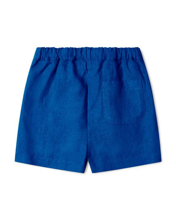 Shorts Simple Lapis Blue 3