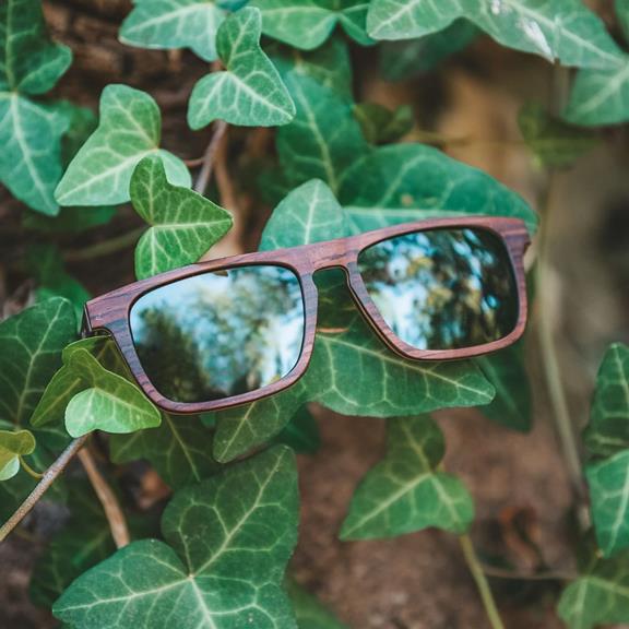Palau - Wooden Sunglasses Rosewood 6