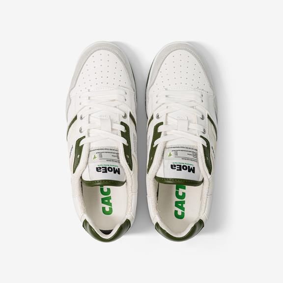 Sneakers Gen2 Cactus White & Green 3