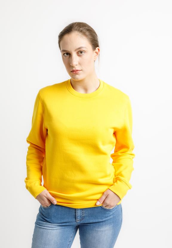 Sweater Roller Spectra Yellow 1