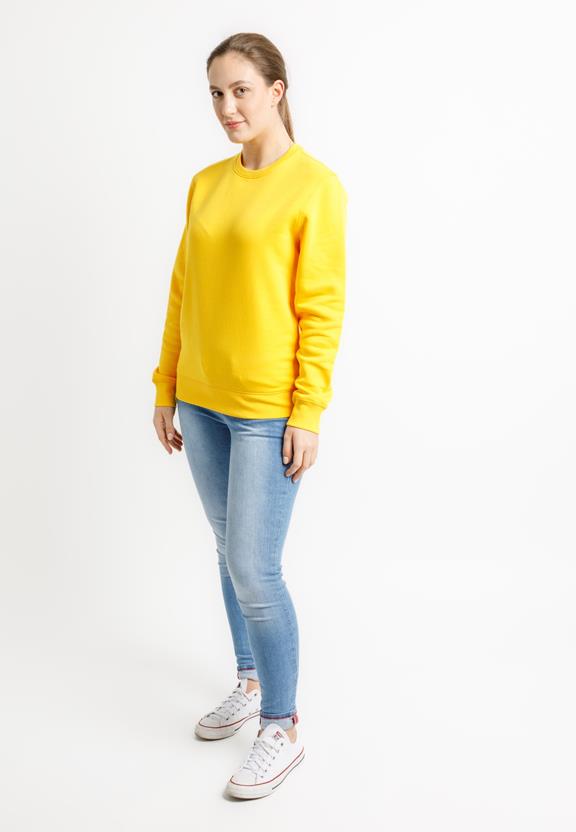 Sweater Roller Spectra Yellow 2