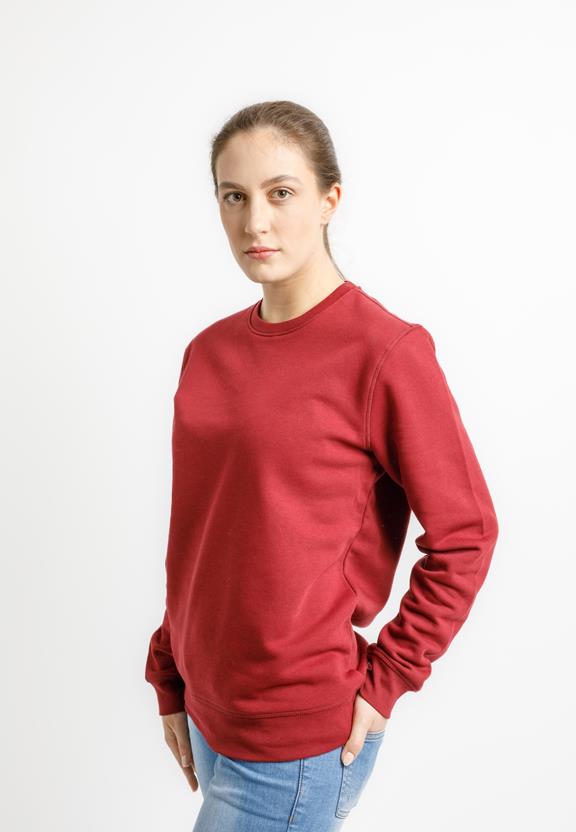 Sweater Roller Burgundy Red 1