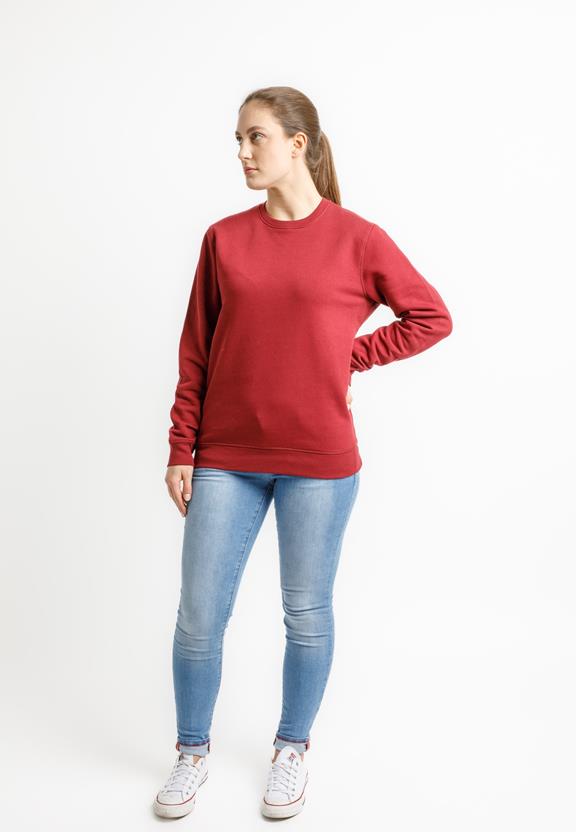 Sweater Roller Burgundy Red 2