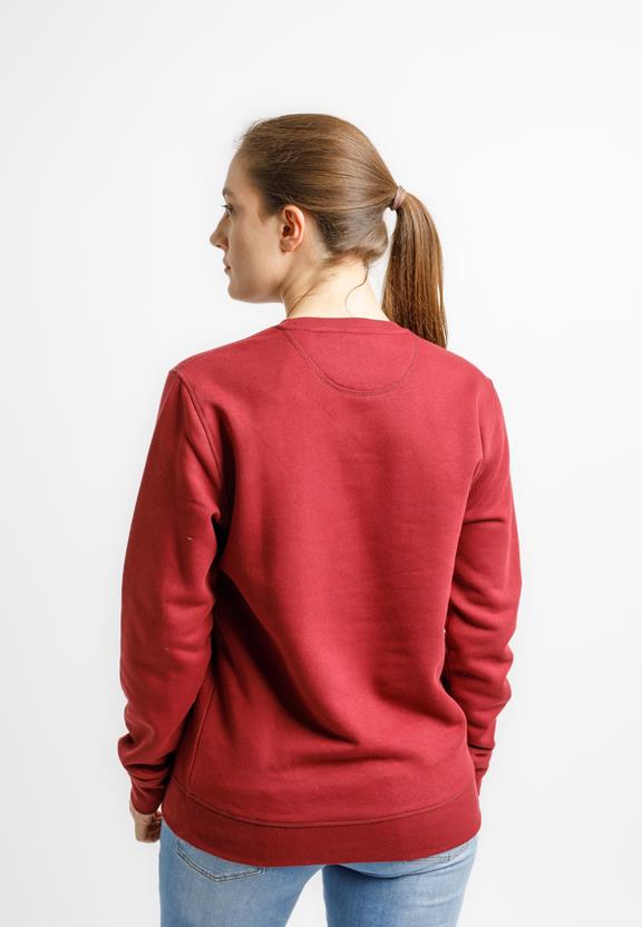 Sweater Roller Burgundy Red 3