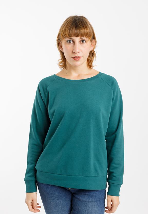 Sweatshirt Dazzler Geglazuurd Groen 1