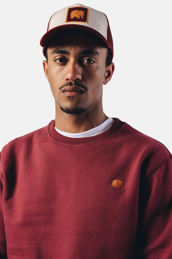 Pullover Essential Burgundy Rot 4