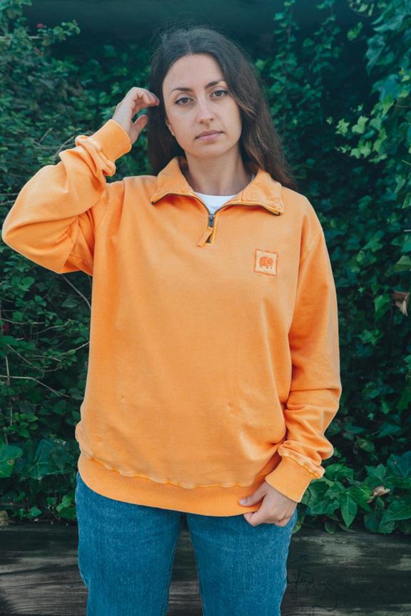 Zip Pullover Sauce Marygold 4