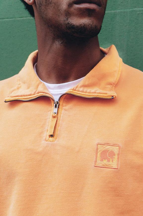 Zip Pullover Sauce Marygold 6