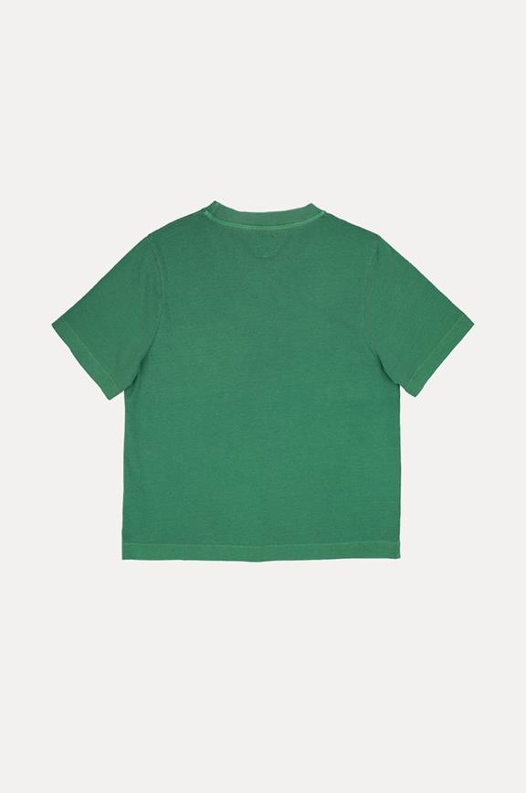 T-Shirt Garceta Pebrella Green 3
