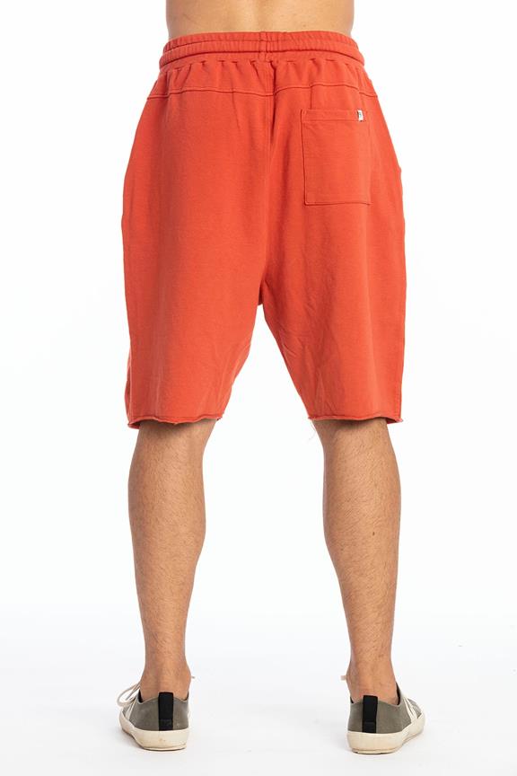 Short Pants L.A Terracotta Orange from Shop Like You Give a Damn