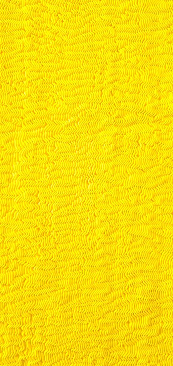 Swimsuit Basic Yellow 16