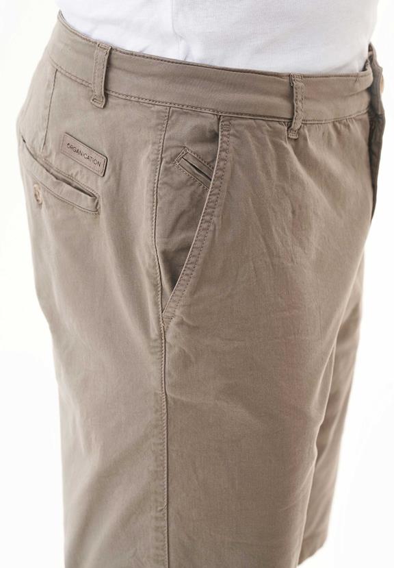 Organic Cotton Slim Fit Chino Shorts 5