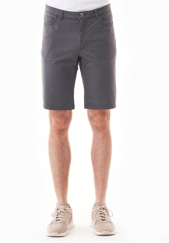 Regular Fit Organic Cotton Shorts 2