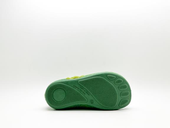 Slipper Boot Pet Green 8