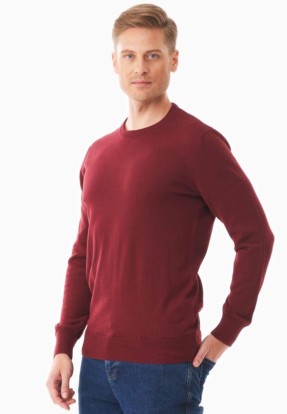 Organic Cotton Sweater Red from Shop Like You Give a Damn