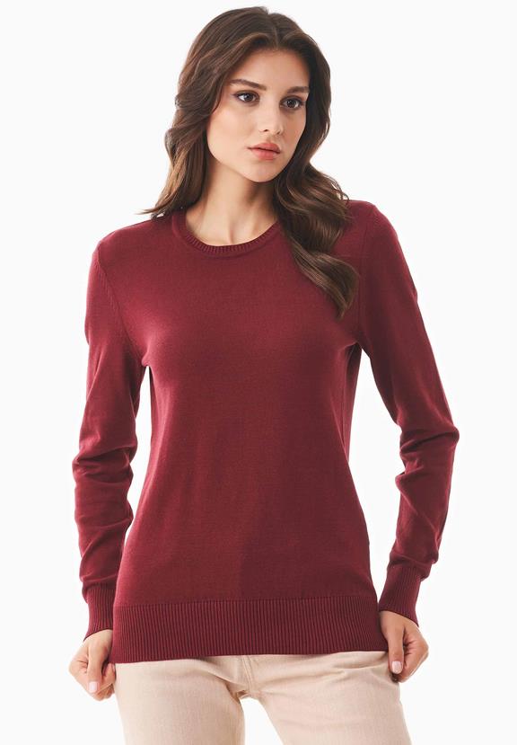 Organic Cotton Sweater Red 1