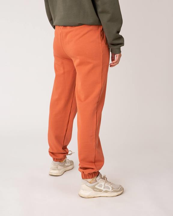 Track Pants Cider Orange 5