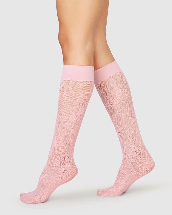 Lace Knee-Highs Rosa Dusty Pink 1