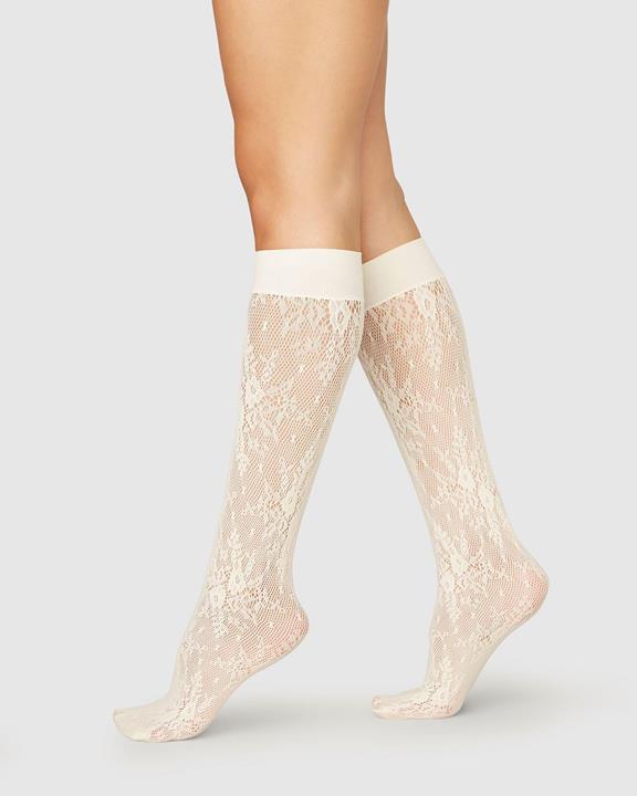  Lace Knee-Highs Rosa Ivory 1