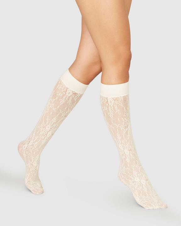  Lace Knee-Highs Rosa Ivory 4