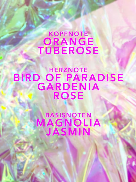 Scented Candle Orange Daze Orange & Bird Of Paradise 5