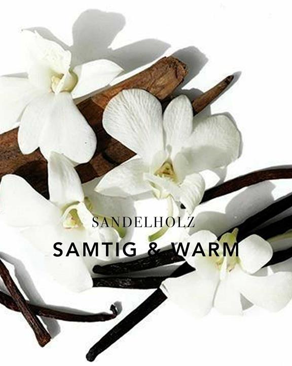 Scented Candle Fairy Milk Vanilla & Sandalwood 4