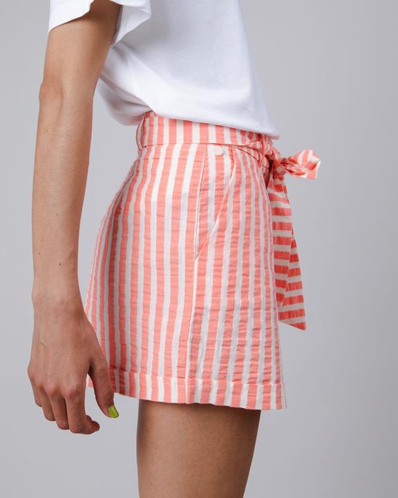 Stripes Belted Shorts Red 3