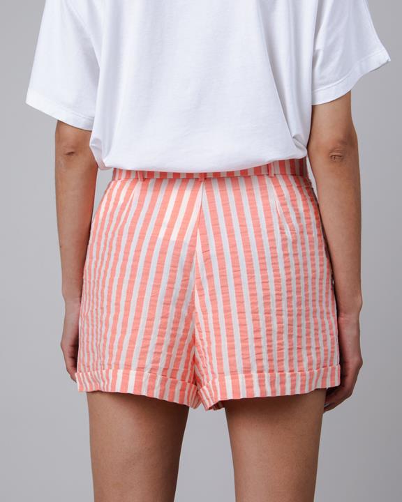 Stripes Belted Shorts Red 4