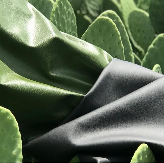 Watch Mykonos Cactus Leather All Black & Green 4