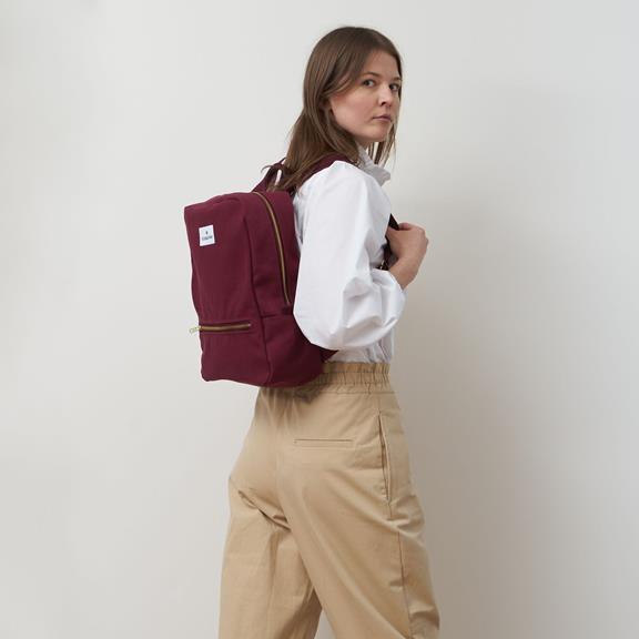 Daypack Bordeaux Red 8