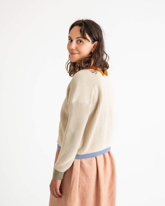 Color Block Cardigan Oyster 6