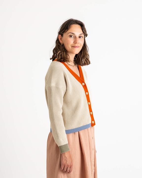 Color Block Cardigan Oyster 7