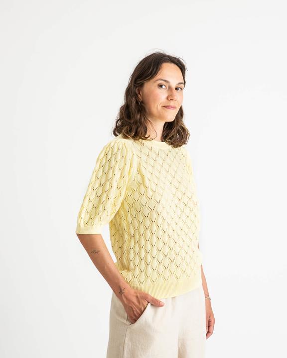 Sweater Knitted Daffodil Yellow 5