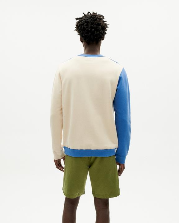 Sweatshirt Abstract Raw  4