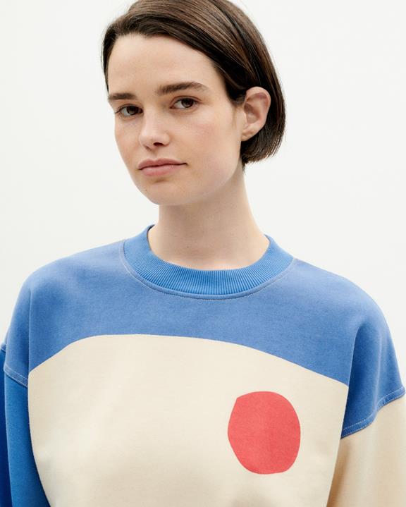 Sweatshirt Abstract Ruw from Shop Like You Give a Damn